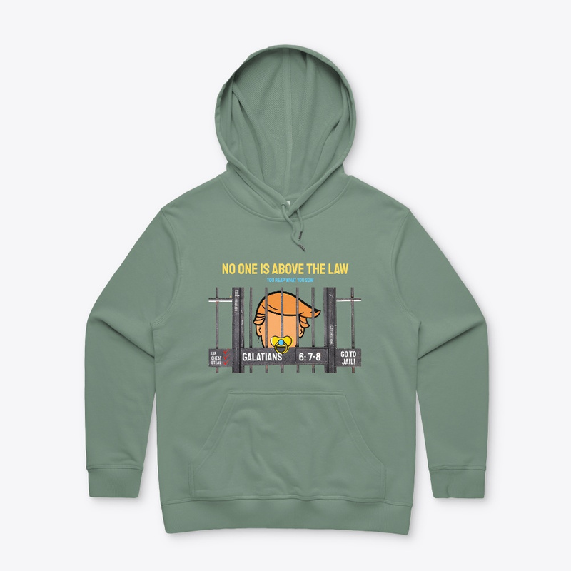 Trump Hoodie | No One is Above the Law - Teal color