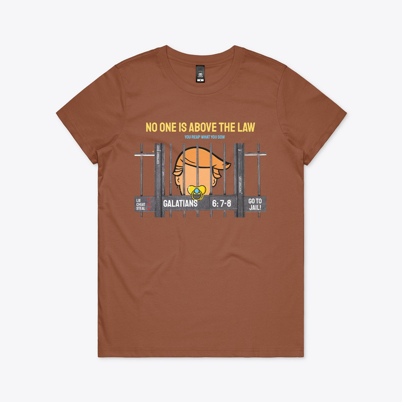 Trump T-shirt | No One is Above the Law - Clay color