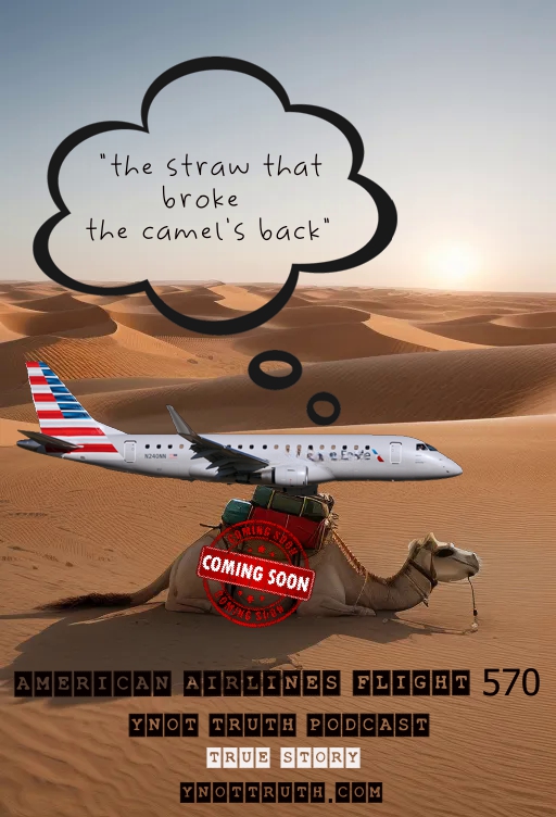 American Airlines Plane sitting on the back of a camel in the Sahara Dessert.